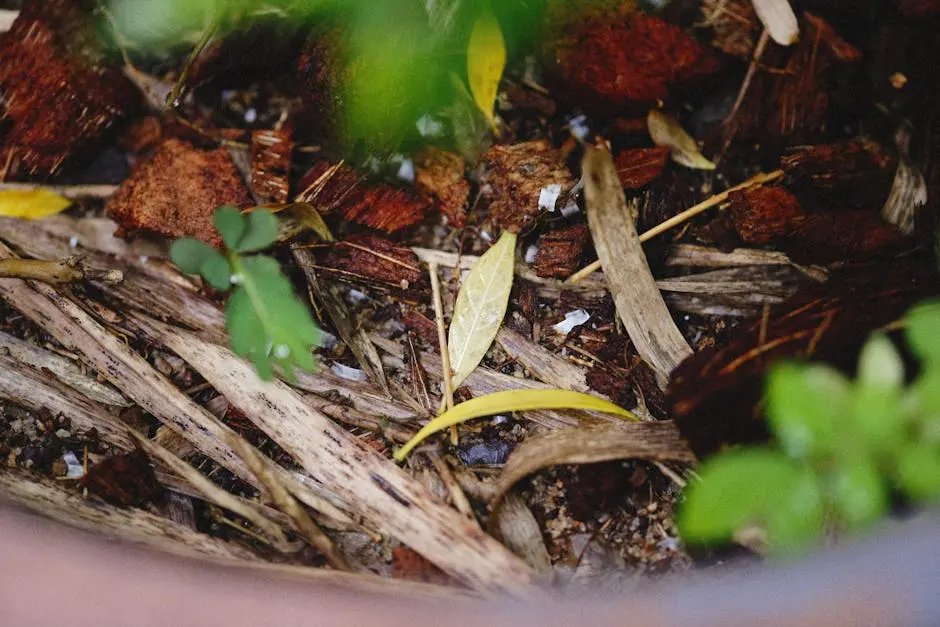 Close-up of organic materials in compost including leaves and soil.