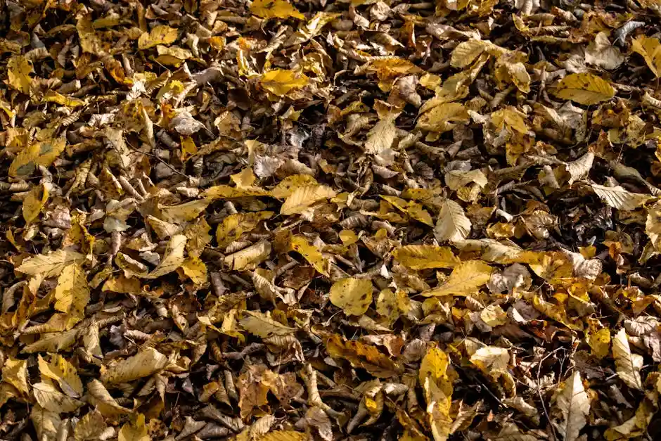 A close-up view of fallen autumn leaves covering the forest ground, showcasing earthy tones.