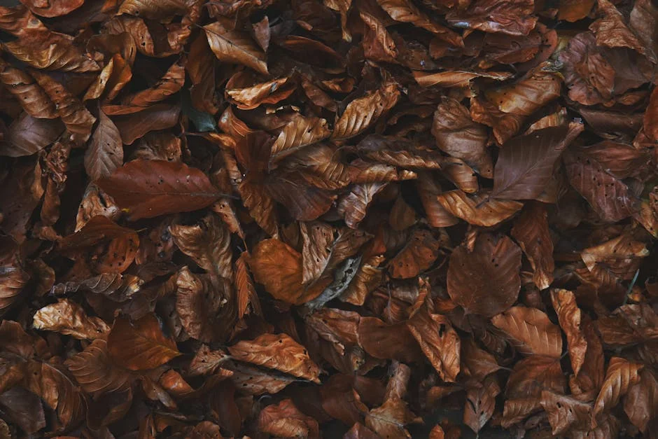 Close-up of a pile of rich, brown autumn leaves showcasing texture and seasonal colors.