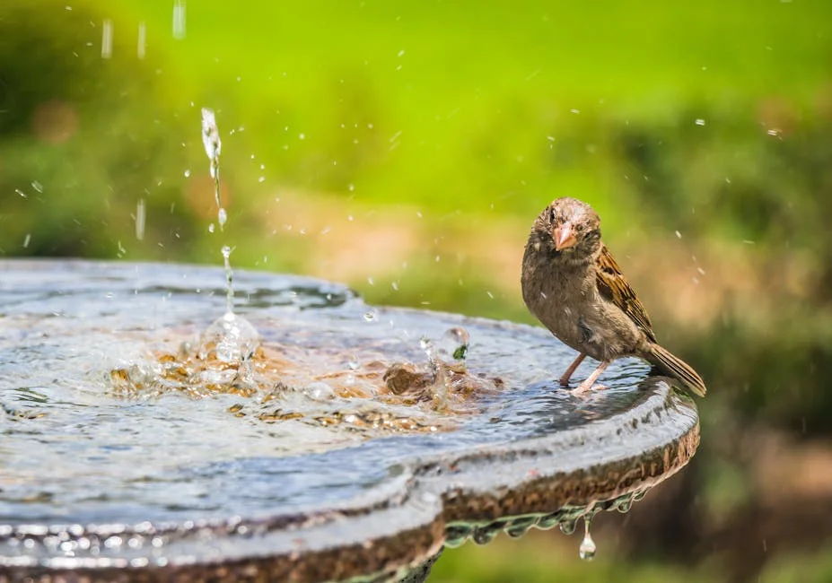 A sparrow perched on a birdbath rim, splashing in the water on a sunny day.