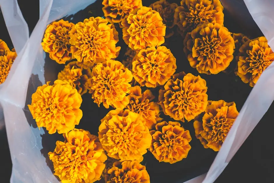 Bright orange marigolds arranged in a natural bouquet, showcasing vivid colors and intricate details.
