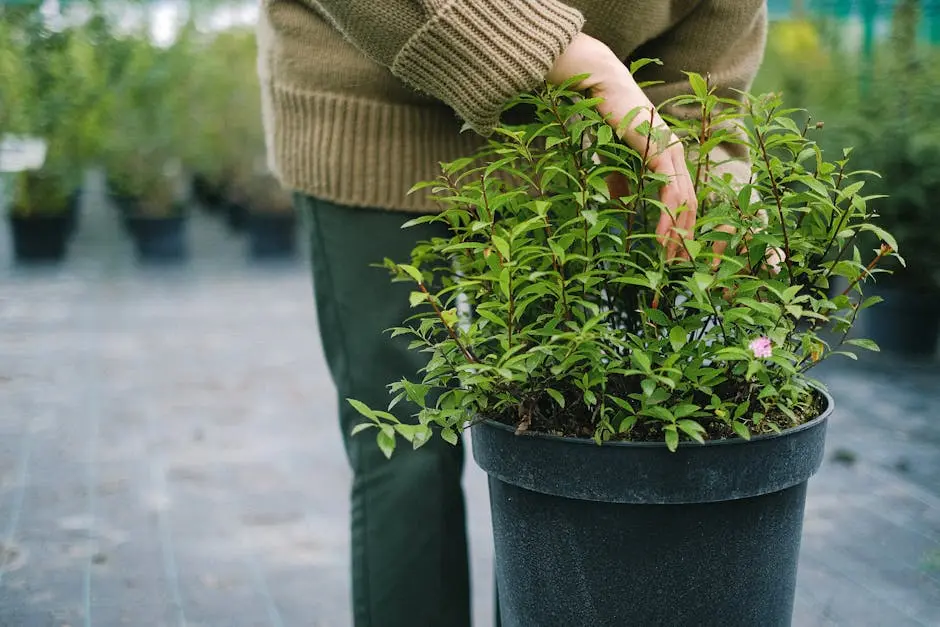 Crop anonymous woman tending under pot with plant growing in fertile soil in greenhouse
