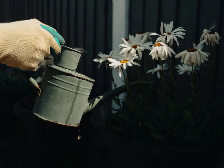 Free stock photo of flowers, gardening, watering can