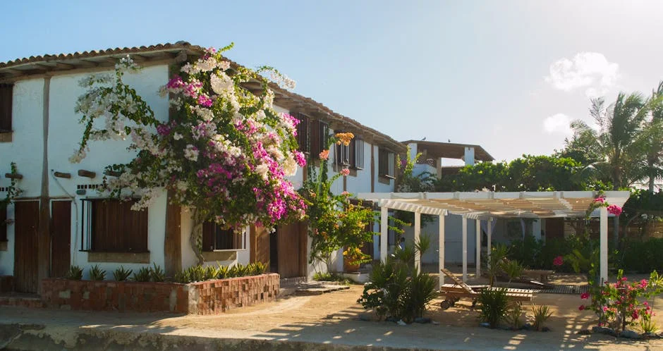 Picturesque view of a traditional house in Gran Roque, Venezuela, with vibrant bougainvillea.