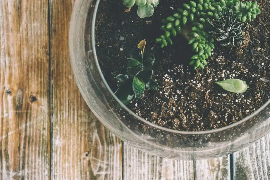 A beautiful terrarium with various succulents on a rustic wooden surface.