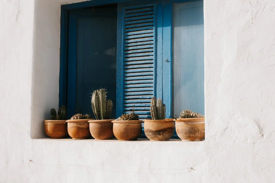 A rustic scene with cacti in clay pots on a white windowsill and blue shutters.