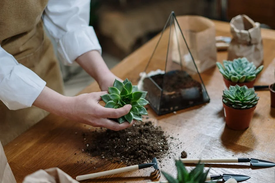 Person arranging succulents and soil in a terrarium on a wooden table indoors.