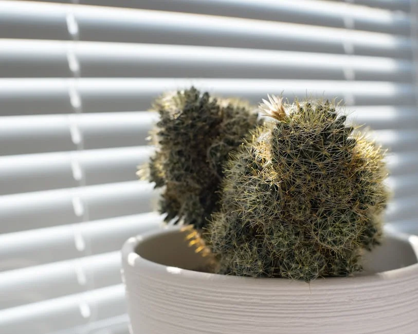 A detailed close-up of a potted cactus basking in sunlight through window blinds, indoors.