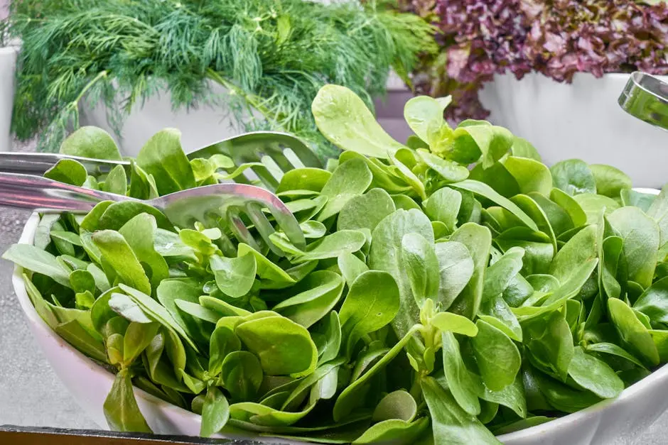 Fresh green salad made with leafy vegetables, perfect for a healthy meal.