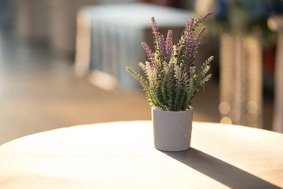 A minimalist indoor scene with a potted lavender plant on a sunlit table.
