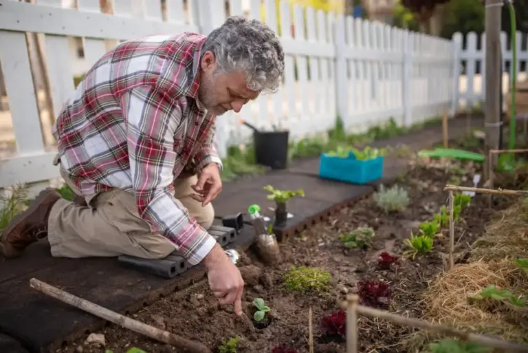 How to Start a Garden When You Have No Green Thumb
