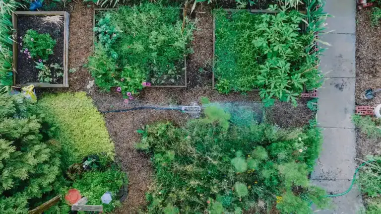 How to Set Up Your First Raised Garden Bed for Easy, Beginner Friendly Gardening