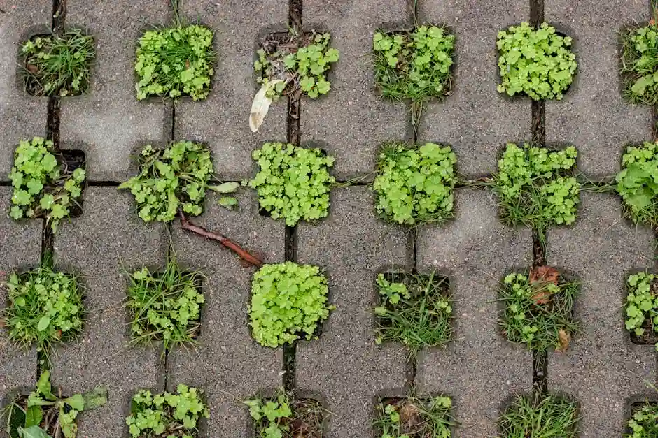 Interlocking pavement blocks with green plants sprouting through in an artistic pattern.