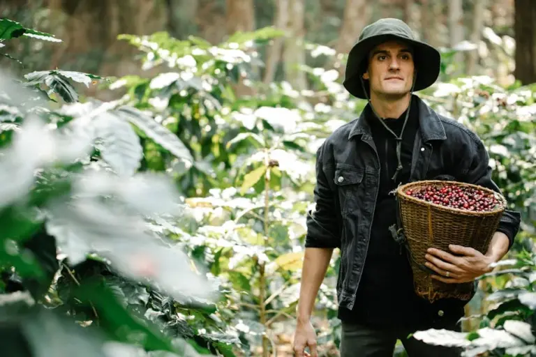 Gardening Terms Every Beginner Should Know to Start Your Green Journey Easily