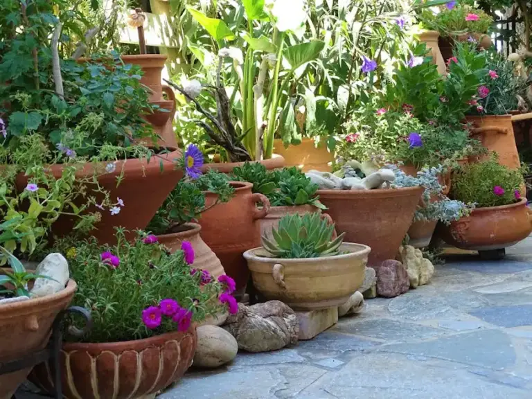 The Beginner’s Guide to Understanding Plant Hardiness Zones Made Easy for Gardeners