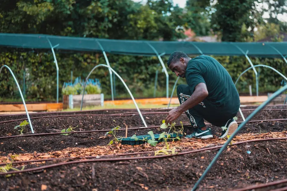 Man tending to seedlings in an urban garden in Dallas, Texas.