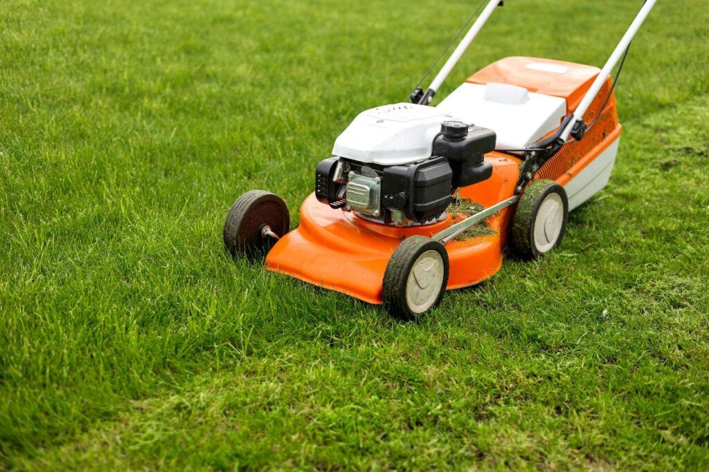 green lawn being mowed