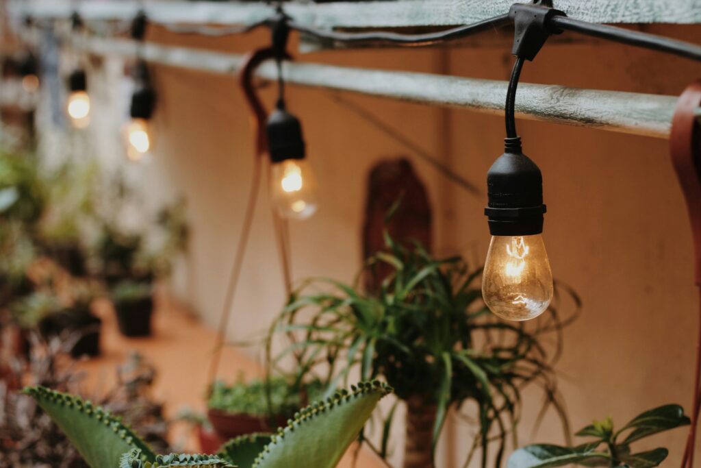string lights turned on hung on railing above plants