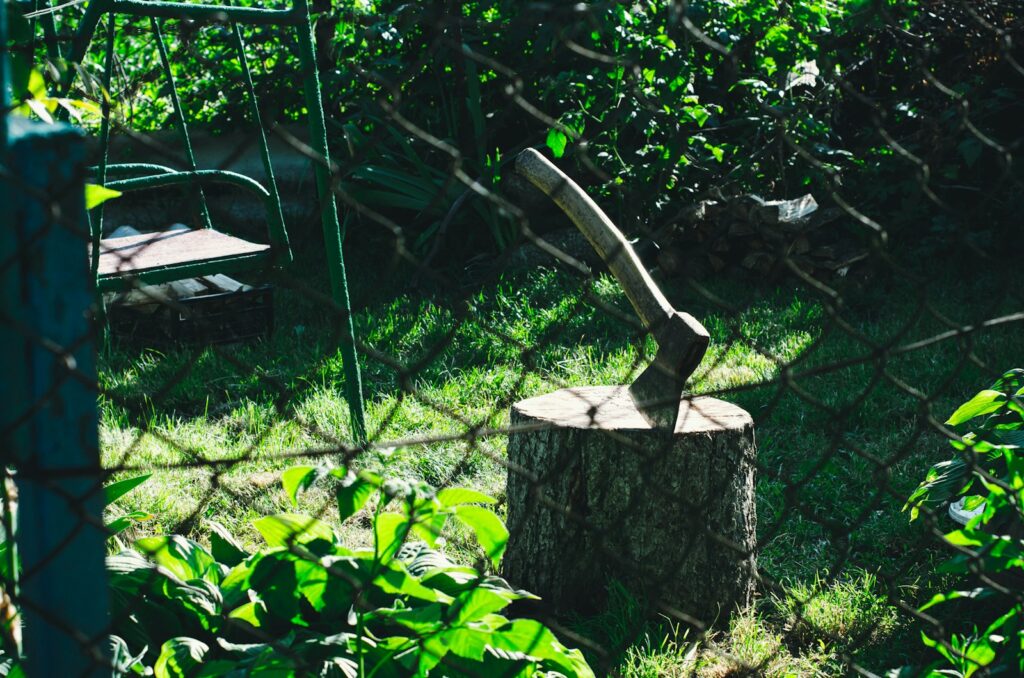 brown wooden handle on green moss