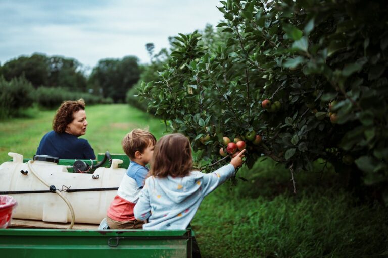 Family picking apples from a tree in an orchard.