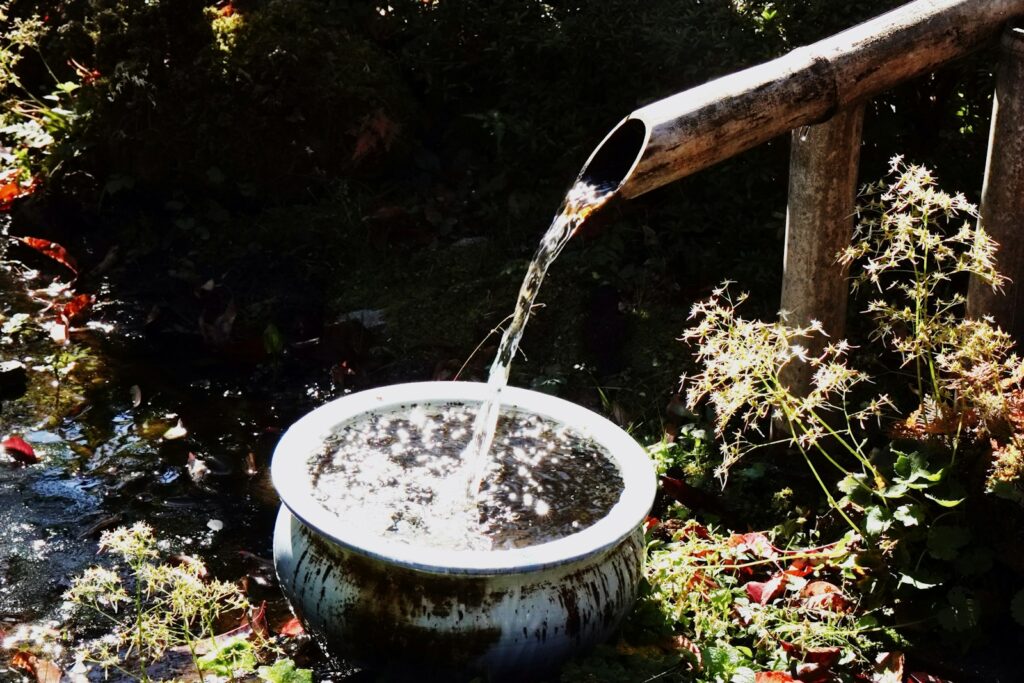 a water fountain in a garden