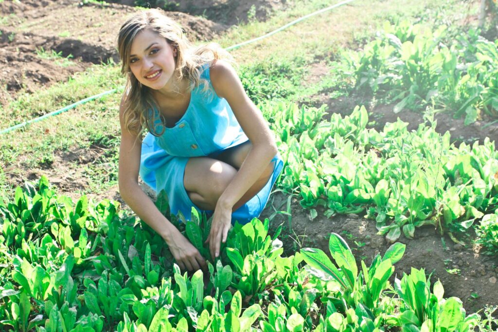 Young woman enjoying a sunny day while harvesting greens in her garden, showcasing a healthy lifestyle.