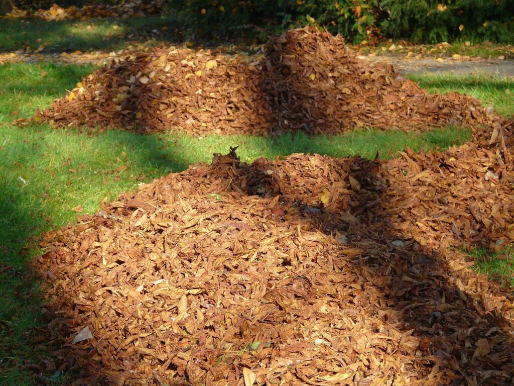 leaves, pile of leaves, park, fall, meadow, nature, the shade, light, shadow play