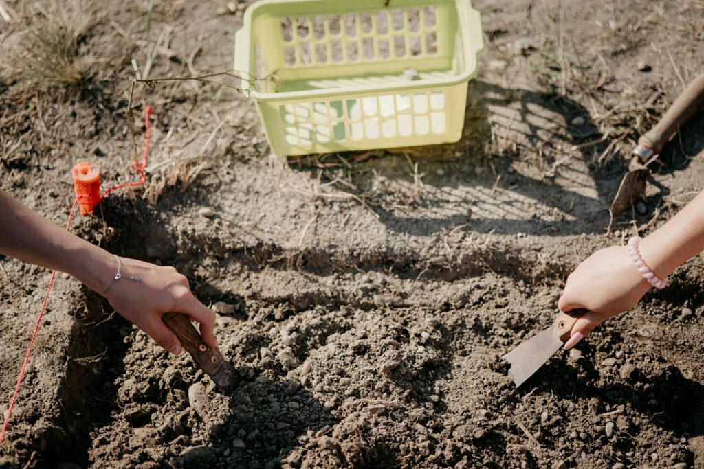 hands holding a green box