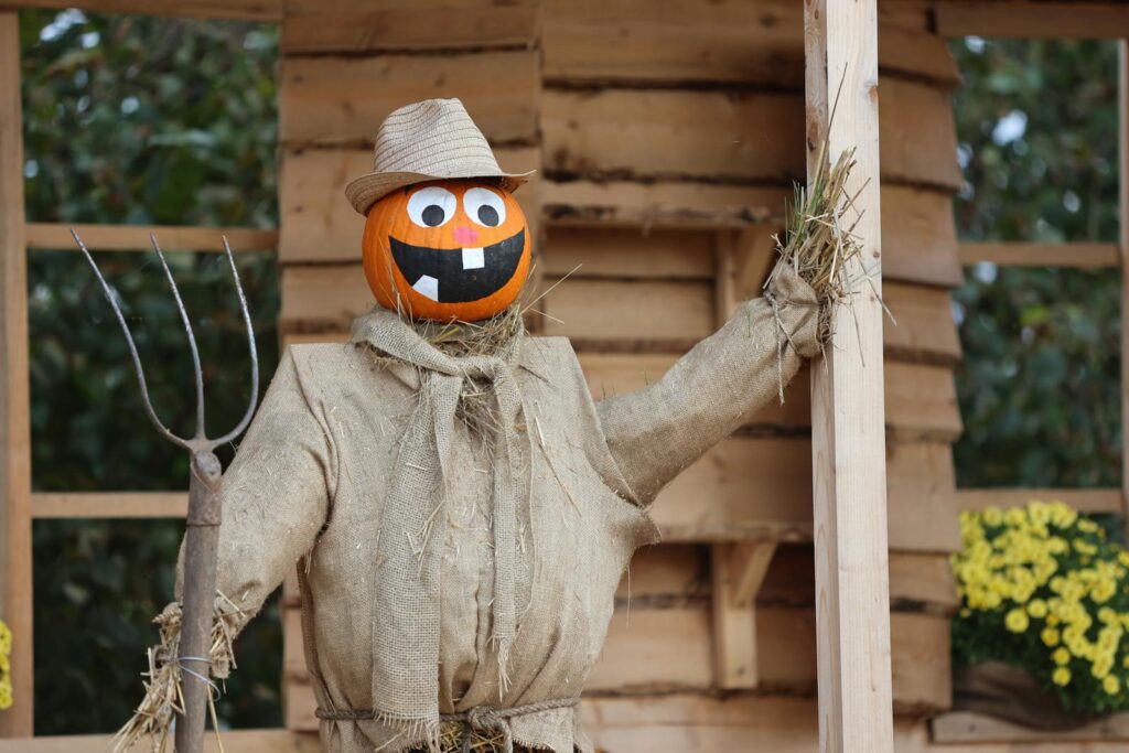 Charming scarecrow with a pumpkin head, adding a festive touch to outdoor Halloween decor.