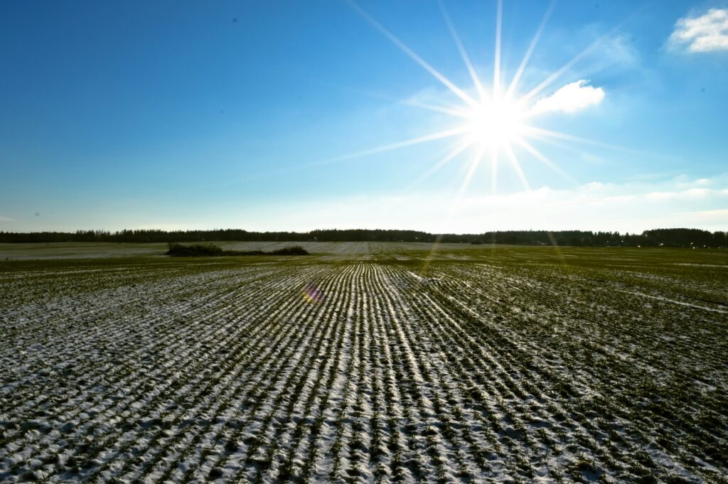 The sun is shining over a large field