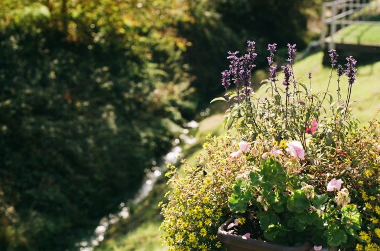 a planter filled with lots of flowers on top of a lush green hillside