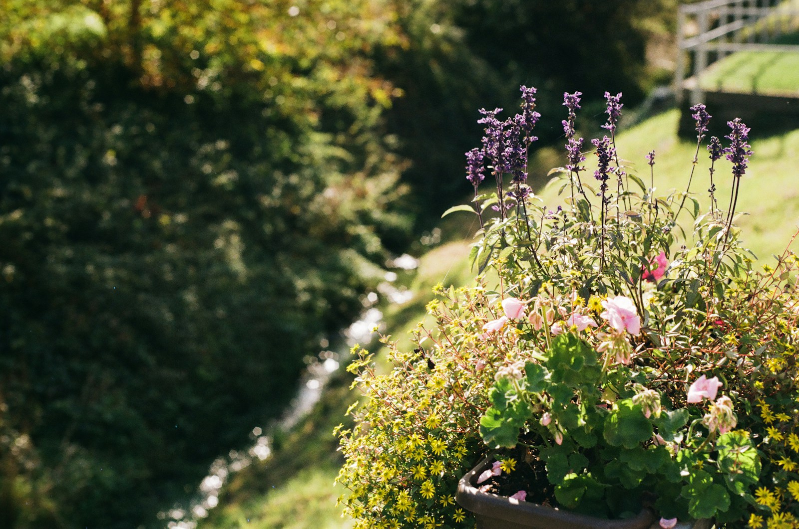 a planter filled with lots of flowers on top of a lush green hillside