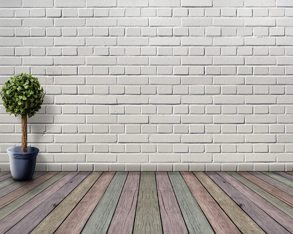 space, empty, nature, wooden floor, plant, plant pot, boxwood, deco, houseplant, white, inner space, wooden floorboards, coloured, wall, room, stone wall, architecture, living room, floor, inside, brick wall