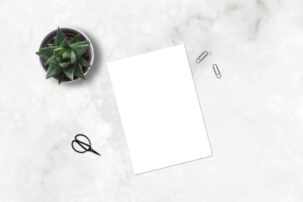 marble, paperclip, mockup, flatlay, plant, ecommerce, scissors, blank, paper, marketing, business, succulent, sheet, desk, table, white sheet, portfolio, shop, drawing, painting, nature, layout, digital art, picture, instagram, blog