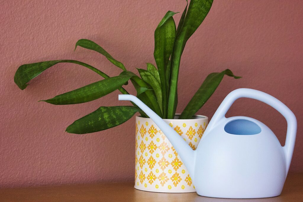 A potted plant sitting on a table next to a watering can