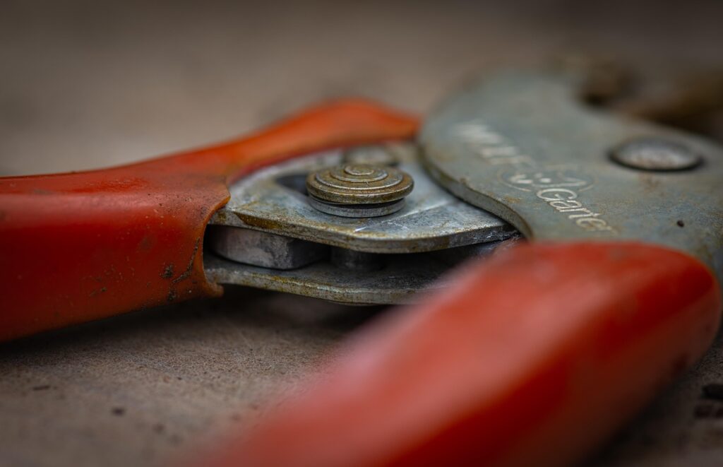 pruning shears, tool, close up, metal, gardening, equipment, gardening tool, gardening equipment