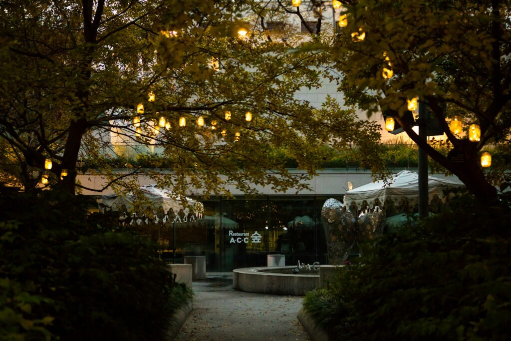 green tree with yellow string lights