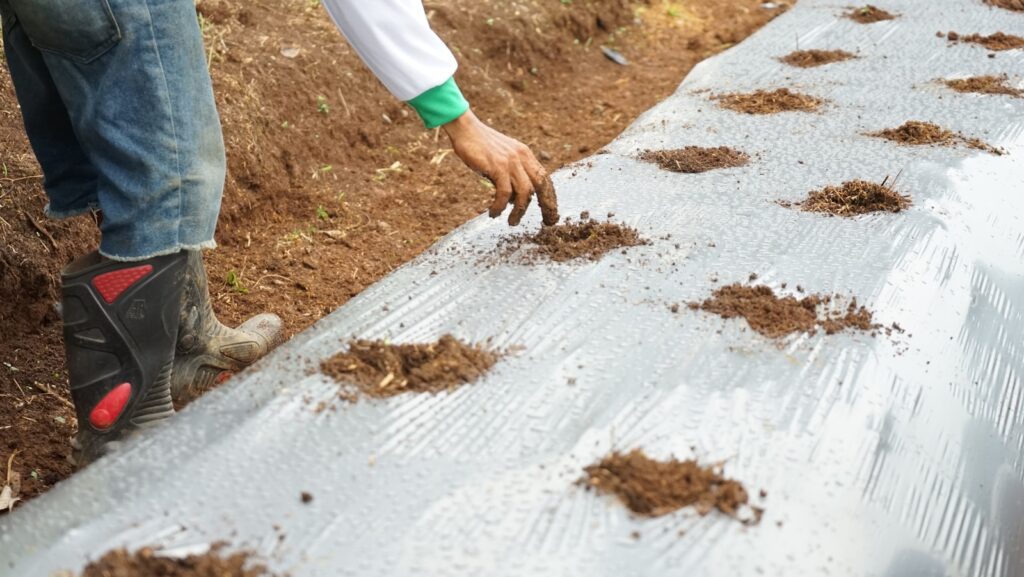 A man standing on top of a road covered in dirt