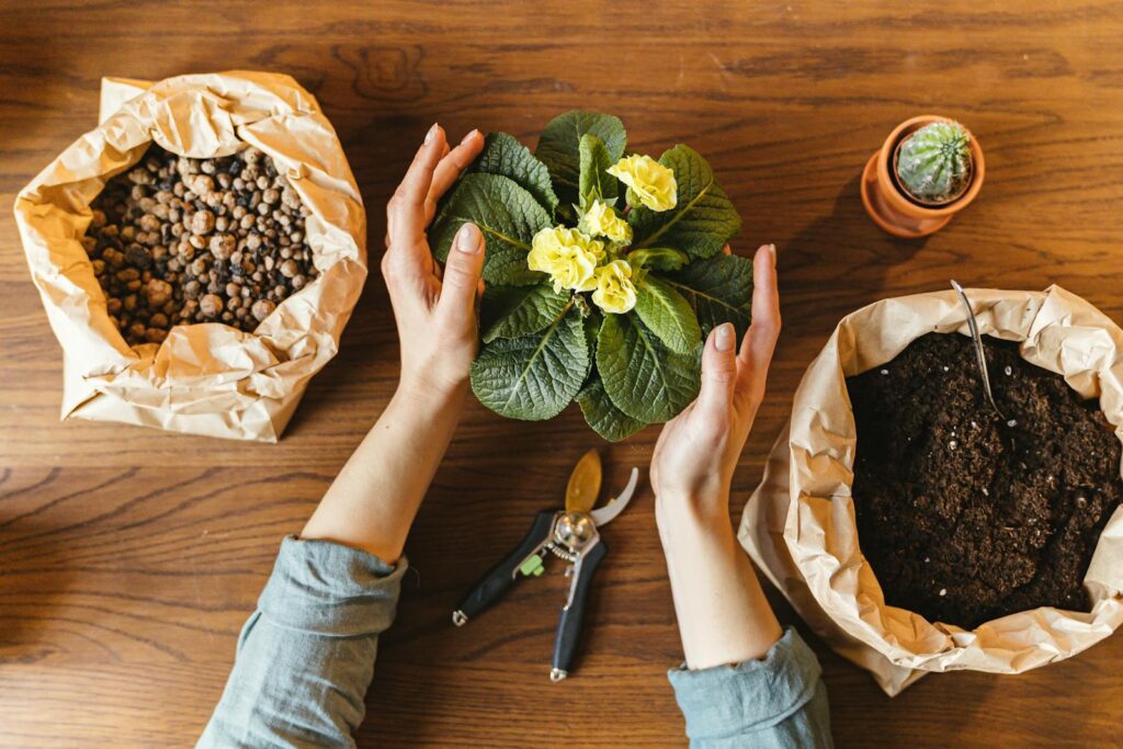 Hands planting a flowering plant in a pot with soil and tools on a wooden surface.