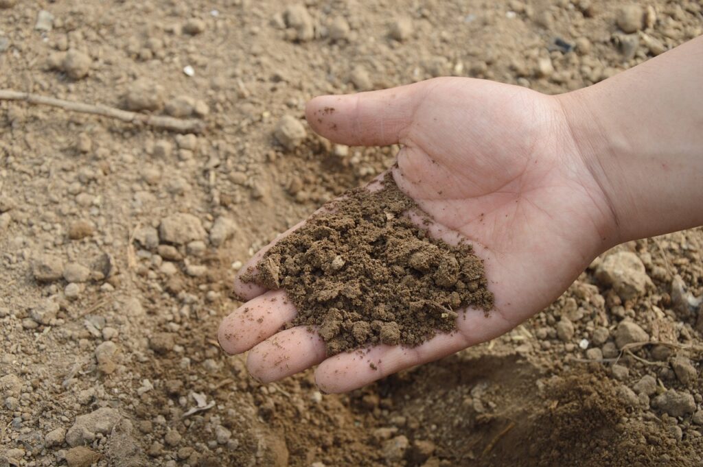 soil, hand, farm, garden, nature, fertilizer, compost, organic, brown garden, brown farm, brown gardening