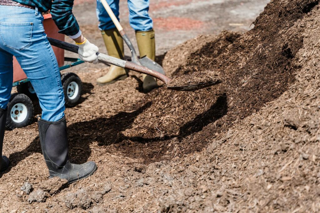 Two workers spreading soil outdoors, emphasizing teamwork and gardening efforts.