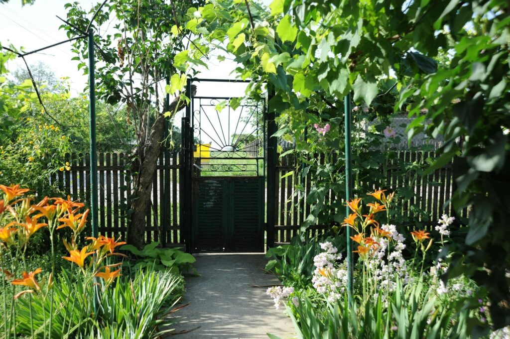 a garden with lots of flowers and a gate