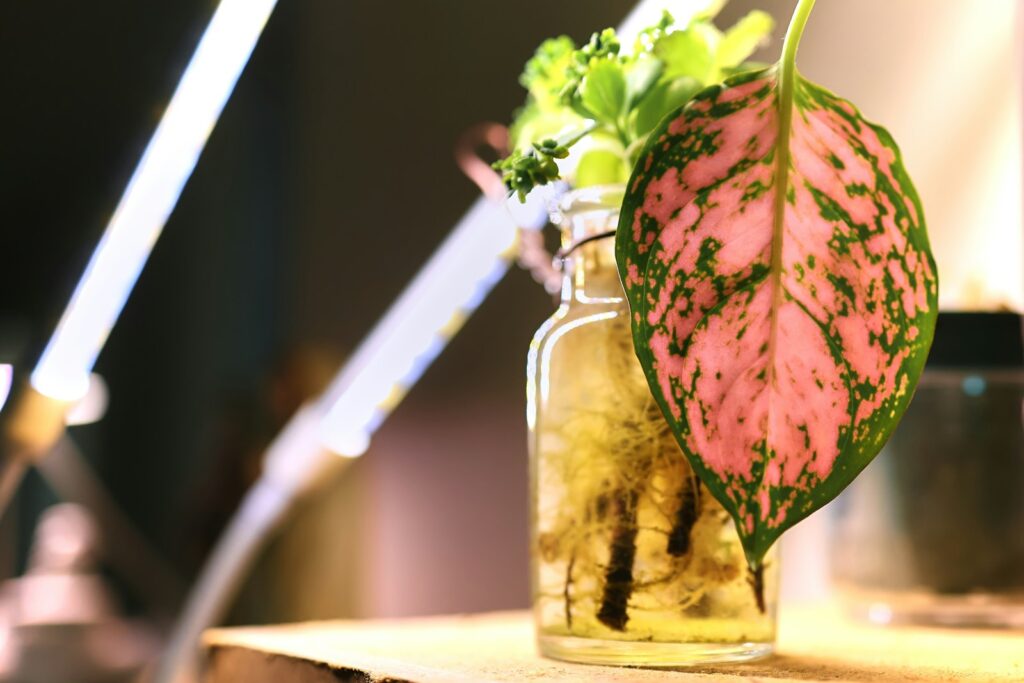 Pink and green leaf in a glass bottle