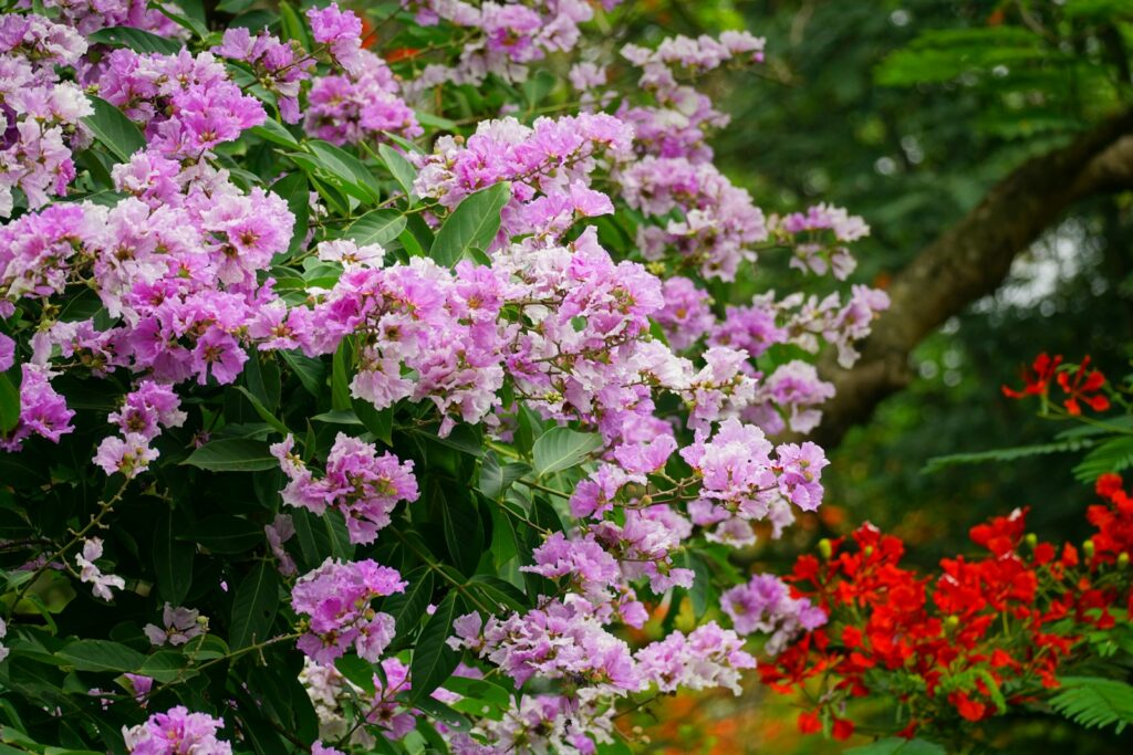 a bunch of flowers that are next to each other