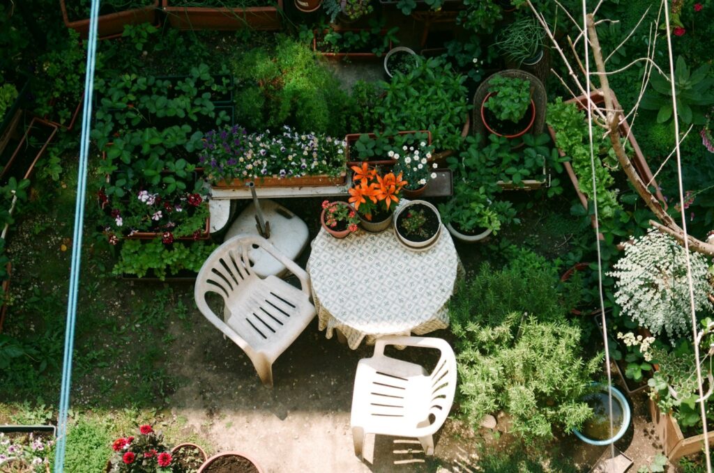 white plastic chair beside green plants
