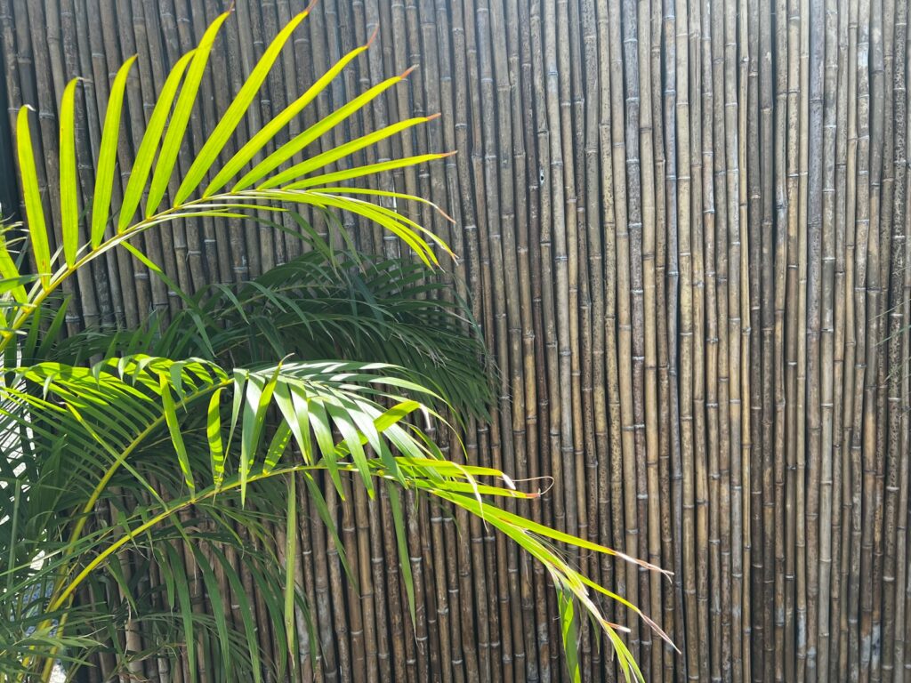 Palm fronds and bamboo create a natural aesthetic.