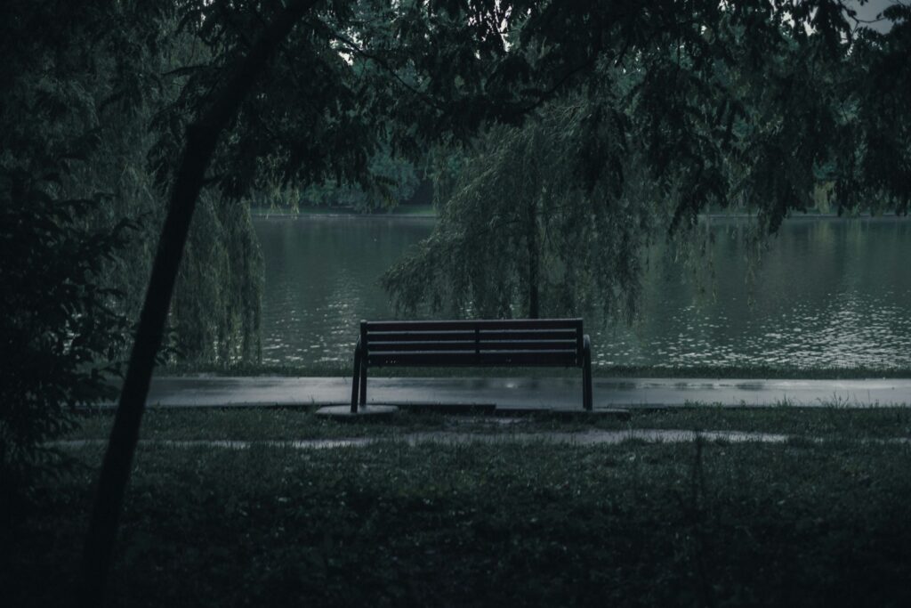 black wooden bench near lake