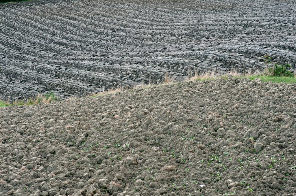 green grass field during daytime
