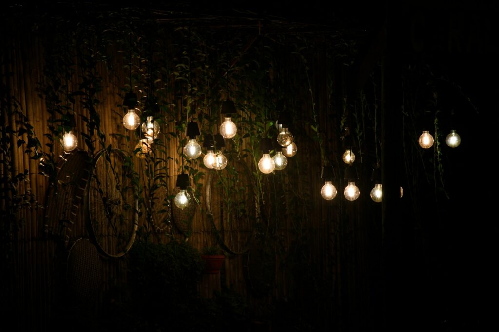 Hanging edison bulbs illuminate a dark, vine-covered wall.