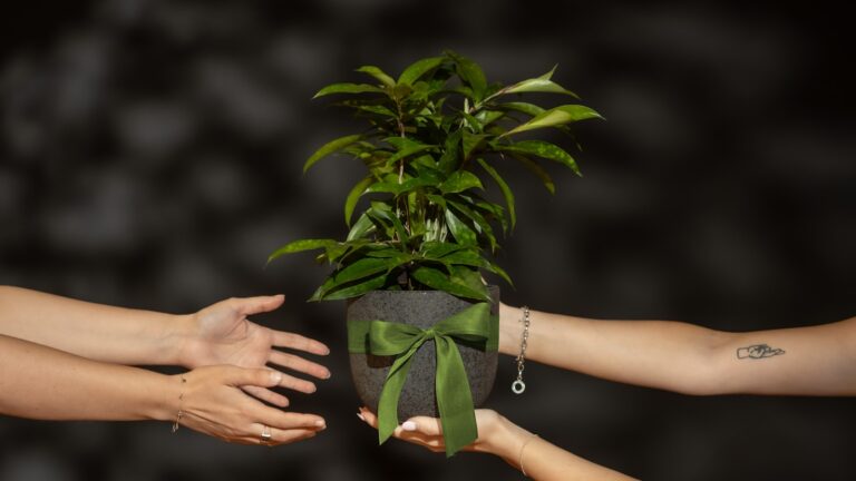 A group of people holding a plant in their hands